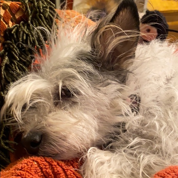 Meet your Posher, Meg - Picture 1 of 1